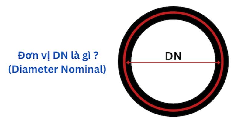 dn là gì
